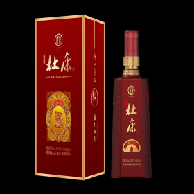 杜康陈窖系列 - 陈窖10